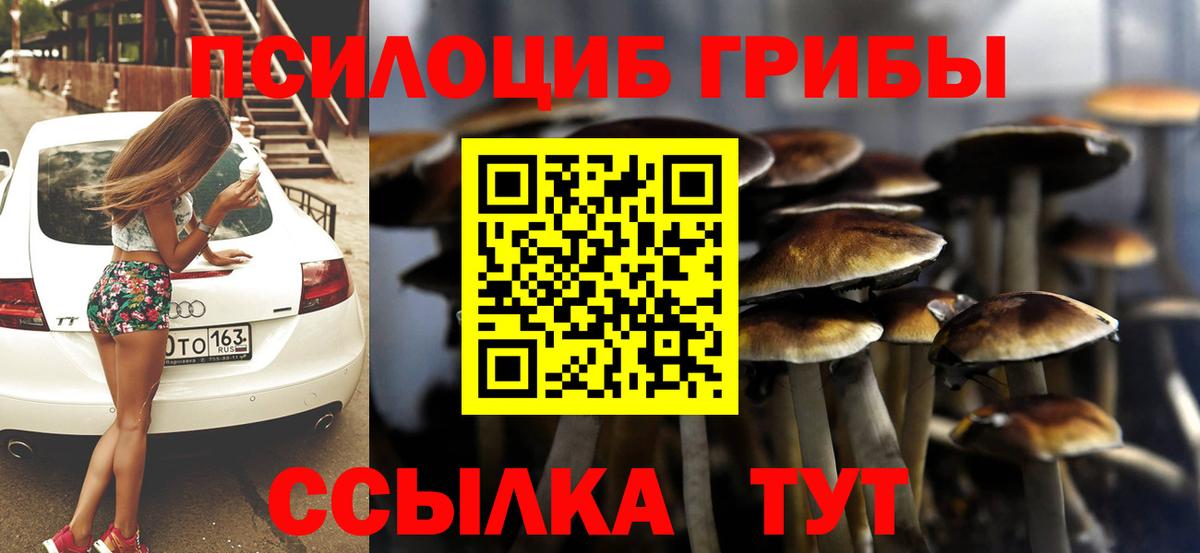 Бугуруслан  Галлюциногенные грибы мухоморы  закладки  Галлюциногенные грибы Psilocybine cubensis  Вход с VPN 